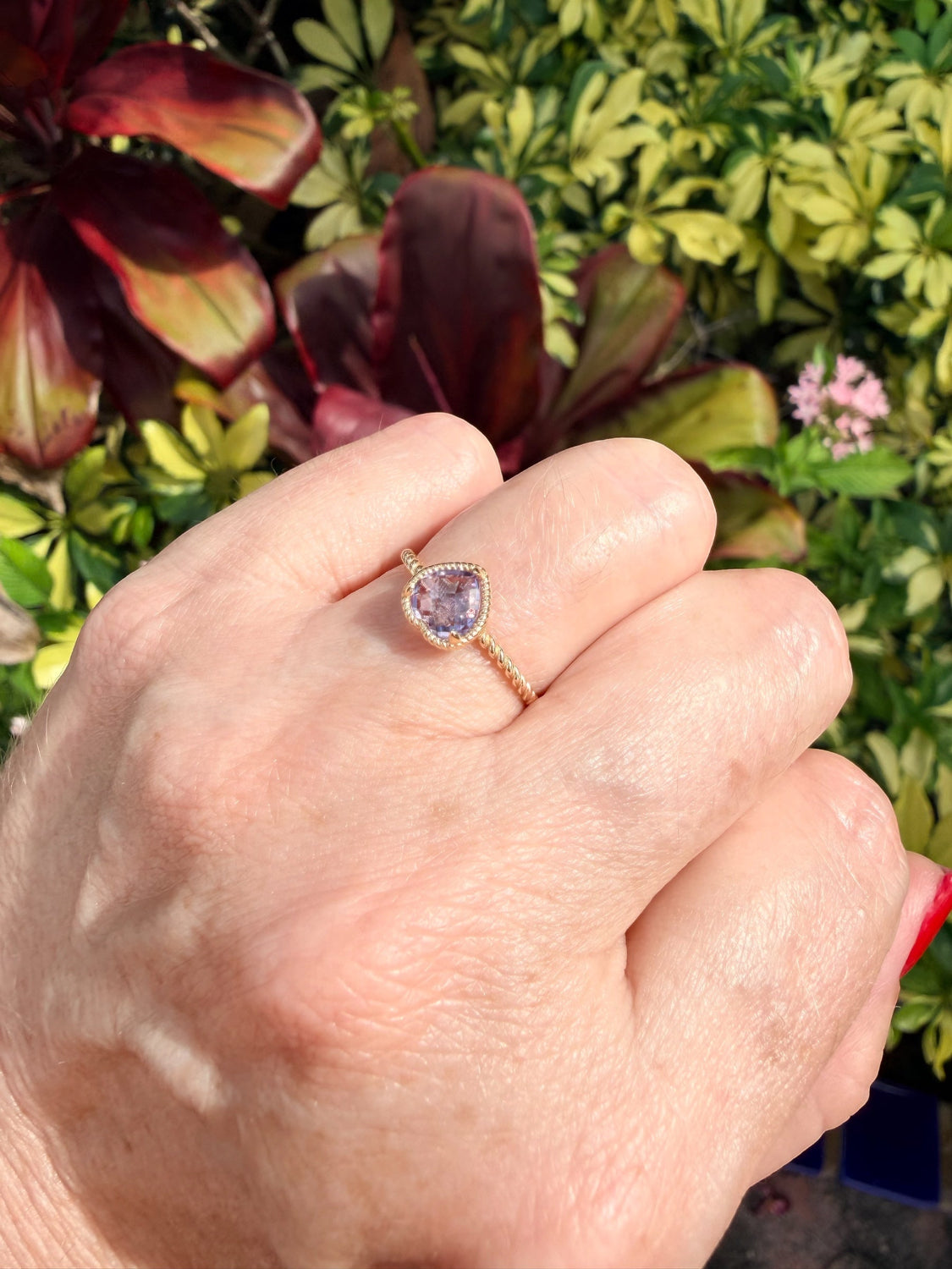 Hand wearing a ring with a purple amethyst gemstone against a green leafy background