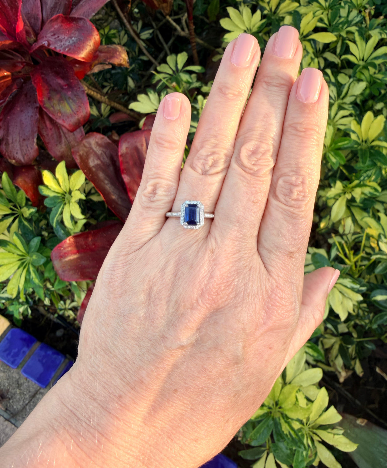 Adelia Halo Sapphire and Diamond Ring 14K White Gold