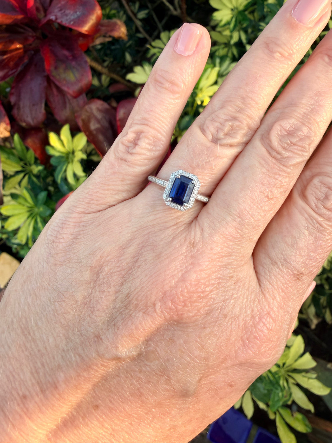 Adelia Halo Sapphire and Diamond Ring 14K White Gold